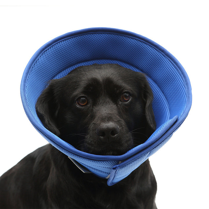 Dog Cat Anti-bite Collar Pet Medical Recovery Collars Transparent Pets Protection Cover Elizabethan Collar Circle For Pet Supplies