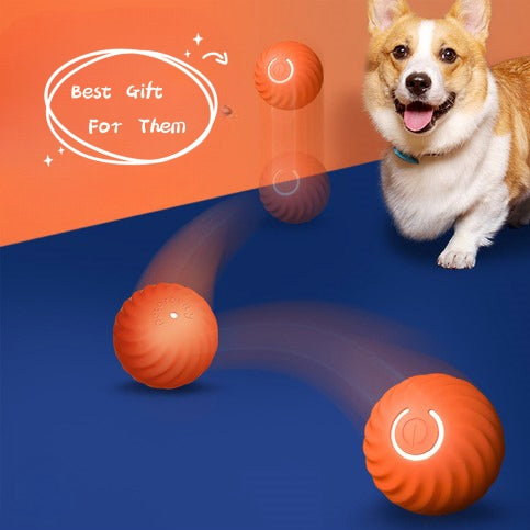 A Pet Dog Rubber Ball Toys For Dogs Training Products